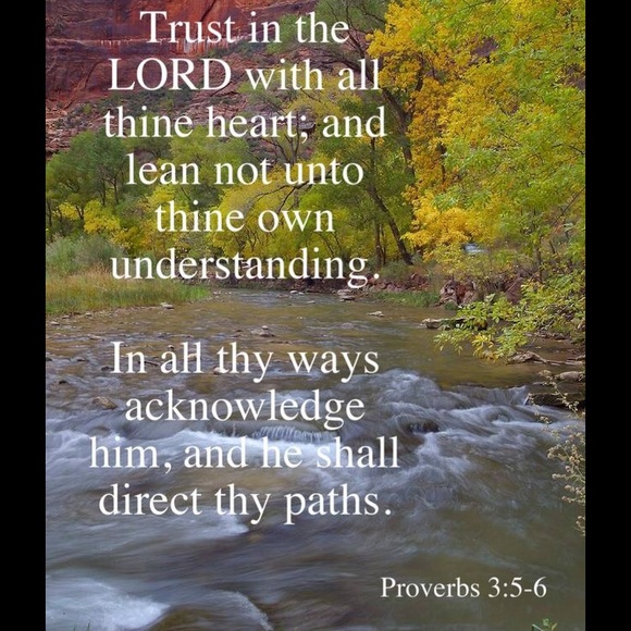 Meet your Posher, Bethany - Picture 4 of 4