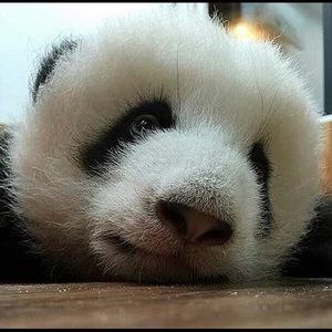 Meet your Posher, Sandi