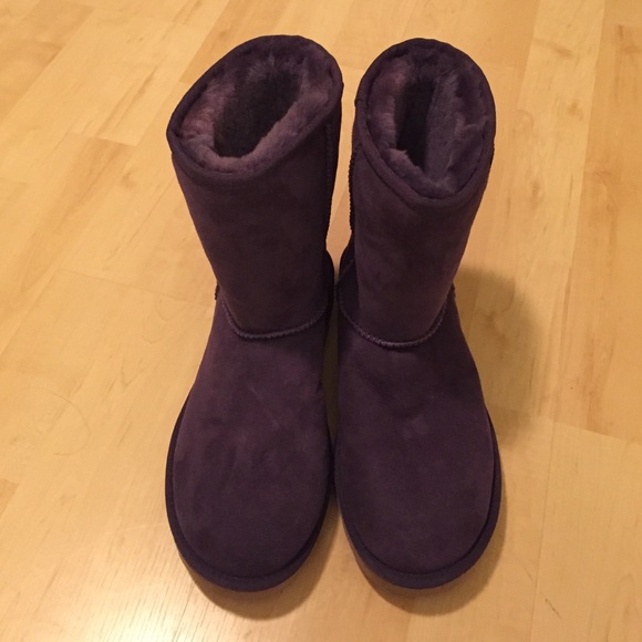 Purple Brand New UGGS