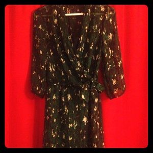 Sheer Dress with built in slip!