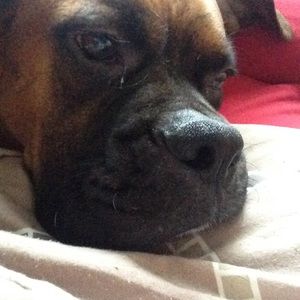 Meet your Posher, Alisha