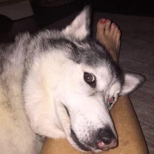 Meet your Posher, Maureen