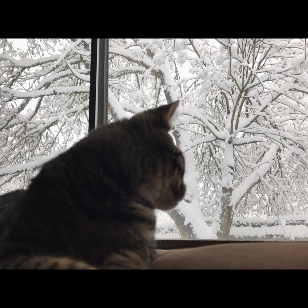 Meet your Posher, Yoana