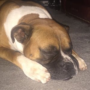 Meet your Posher, Danny