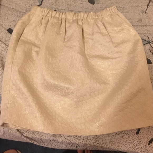 Brand new PinsandNeedles skirt from urban outfitters