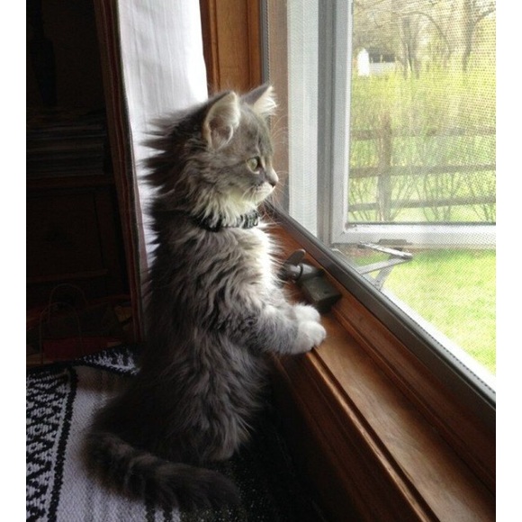 Meet your Posher, Hannah - Picture 1 of 1