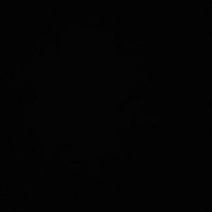 Meet your Posher, Kyra