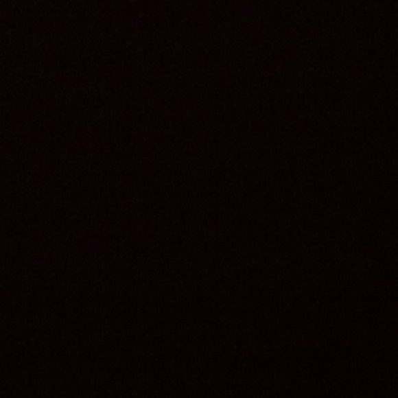 Meet your Posher, Indya - Picture 1 of 1