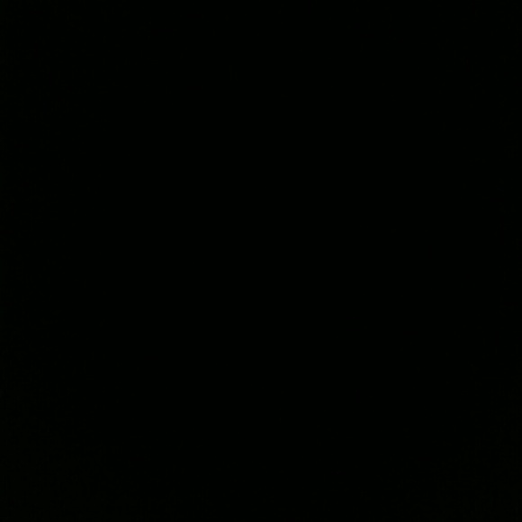 Meet your Posher, Harley - Picture 1 of 1