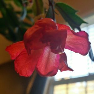 Meet your Posher, Gary