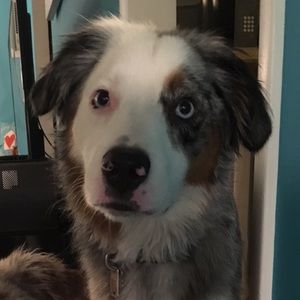 Meet your Posher, Nina