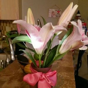 Meet your Posher, Karla