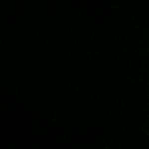 Meet your Posher, Gerald