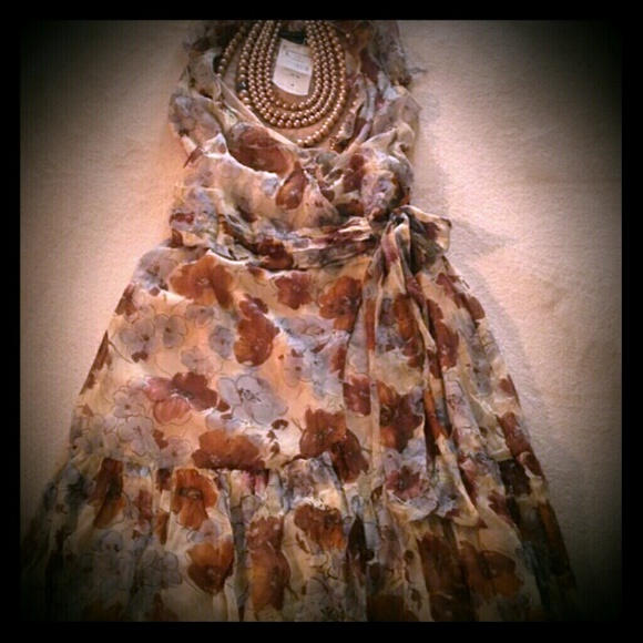 ~~ NWT Gorgeous Zara Dress ~~