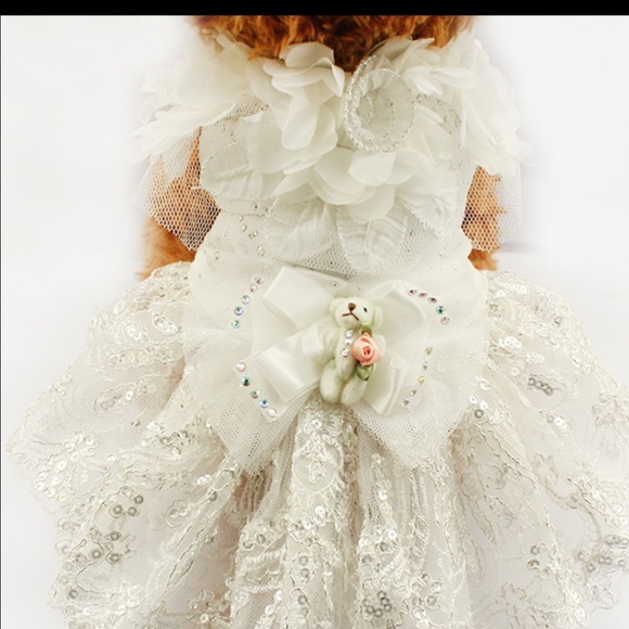 Dresses & Skirts - Dog clothes