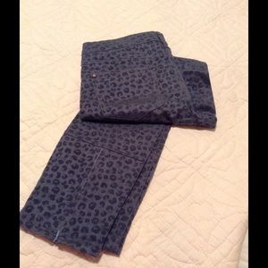 Pilcro Blue Cheetah Pants