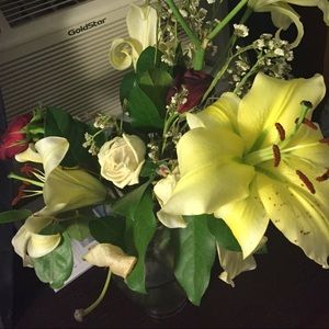 Meet your Posher, Leslie