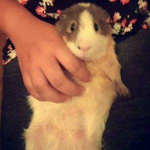 Meet your Posher, Sandra