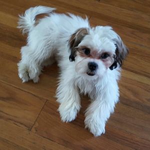 Meet your Posher, Ingrid