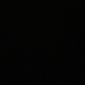 Meet your Posher, Lexi