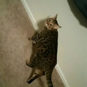 Meet your Posher, Stacy