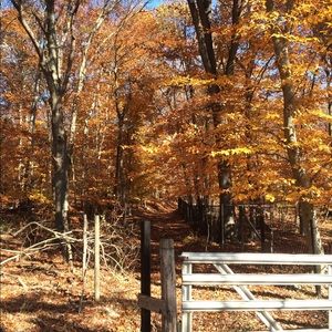 Meet your Posher, Ashlyn