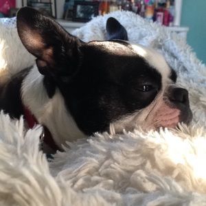 Meet your Posher, Morgan