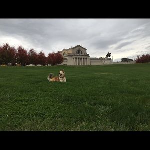 Meet your Posher, Molly