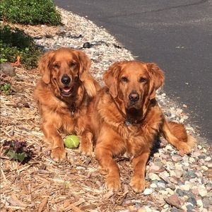 Meet your Posher, Deanna