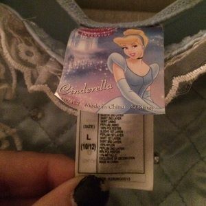 Cinderella Costume