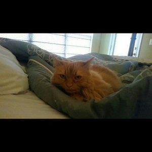 Meet your Posher, Erik