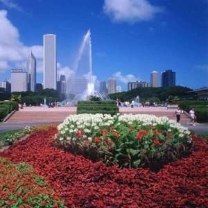 Meet your Posher, Fernanda