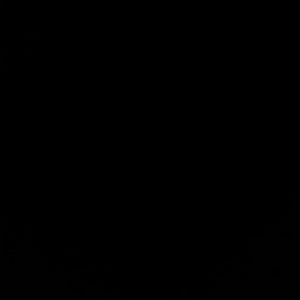 Meet your Posher, Corrina