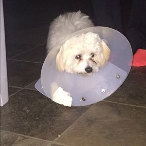 Meet your Posher, Steven