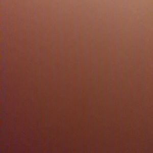 Meet your Posher, Donald