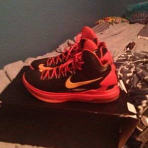 Kd 5 orange and black