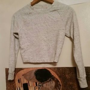 American Apparel Ponte Crop Raglan Sweater