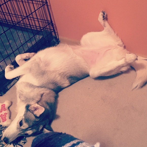 Meet your Posher, Kate