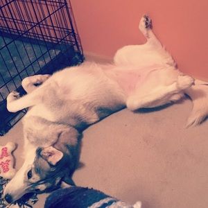 Meet your Posher, Kate