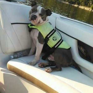 Meet your Posher, Kasey