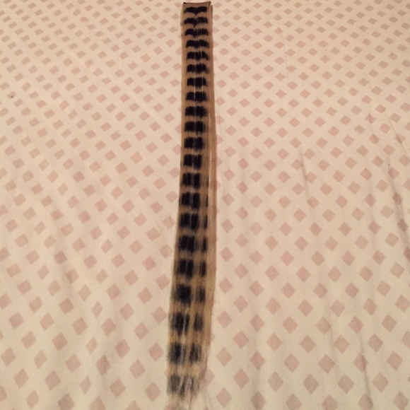 Striped Clip-In Hair Extension