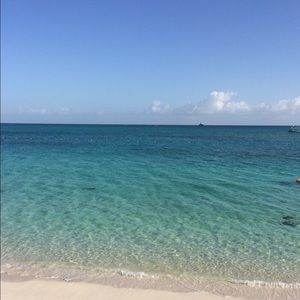 Meet your Posher, Carol