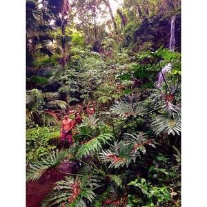 Meet your Posher, Harrison