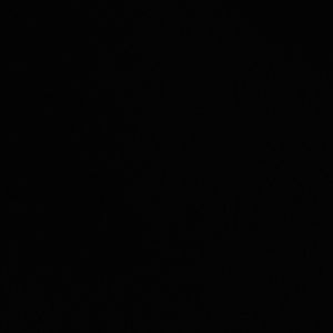 Meet your Posher, Lizzy