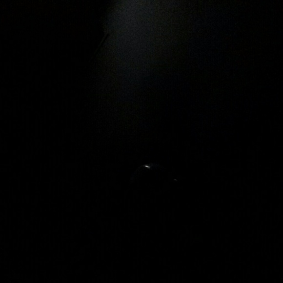 Meet your Posher, Tara - Picture 1 of 1