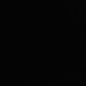 Meet your Posher, Molly