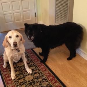 Meet your Posher, Patricia