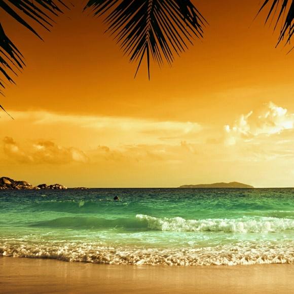 Meet your Posher, Kailey