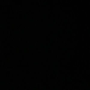 Meet your Posher, Paige