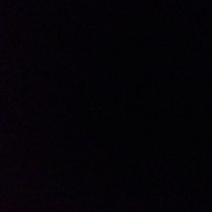 Meet your Posher, Brynn